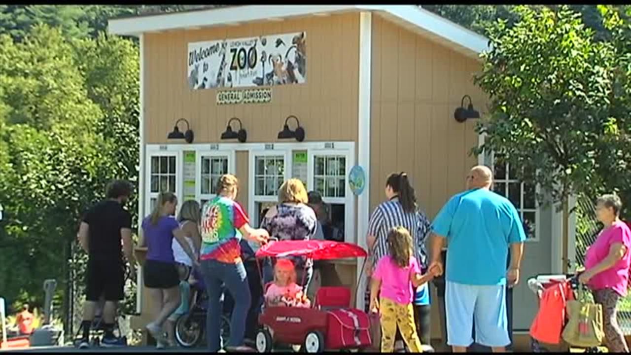 Lehigh Valley Zoo welcomes new mascot 'Radley the Sea Turtle'
